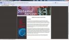 Atestat informatica: Sistemul nervos