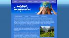 Atestat informatica: Mediul inconjurator