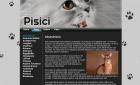 Atestat informatica: Rase de pisici